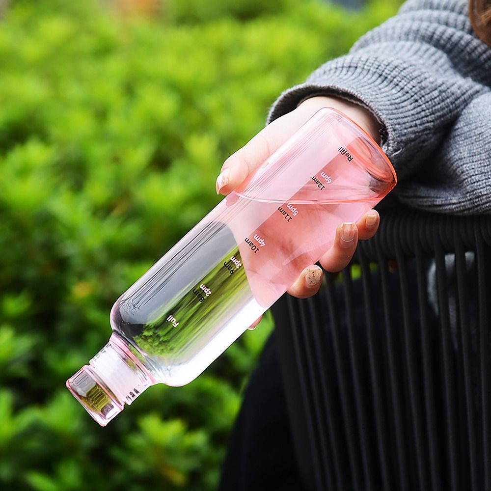 500/750ML Water Bottle INS Sty - Juice Tea Coffee review and price