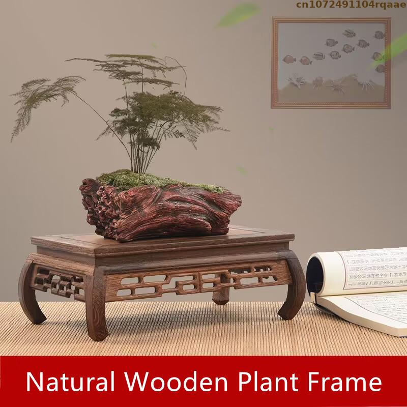 Premium Wooden Bases Bonsai Ho - Coffee Tea For Plants review and price
